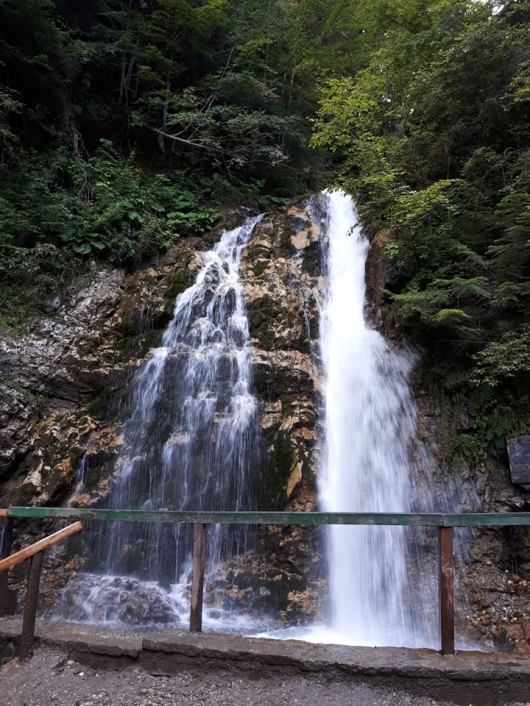 cascada urlatoare